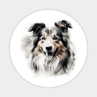 Tri color Sheltie Watercolor Portrait Magnet